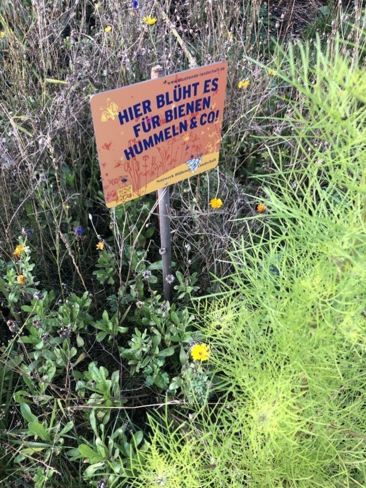 Meeresperle 7 Backbord Klutz Zewnętrze zdjęcie